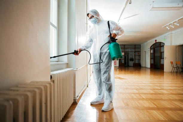 Best Fumigation Services  in Wickenburg, AZ